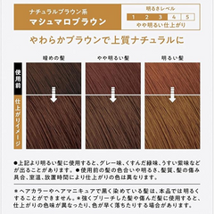 Kao | Liese Creamy Bubble Hair Color