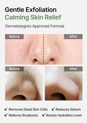 Celimax | JIWOOGAE Heartleaf BHA Peeling Pad 125ml 60pcs