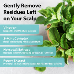 A'PIEU | Mint Scalp Hair Vinegar