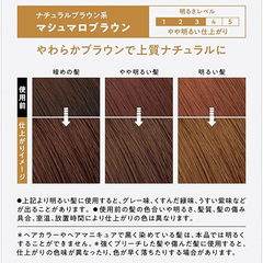 Kao | Liese Creamy Bubble Hair Color