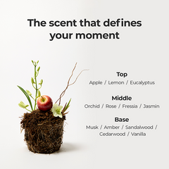 MOEV | Annurcatin Hair Perfume 30ml