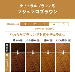 Kao | Liese Creamy Bubble Hair Color