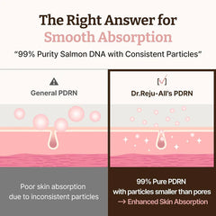 Dr.Reju All | Advanced PDRN Rejuvenating Cream 20ml
