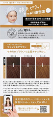 Kao | Liese Creamy Bubble Hair Color