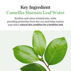 Dr. Althea Green Tea Fresh Sunscreen SPF50+ PA++++ 45ml